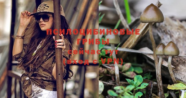 крисы Володарск