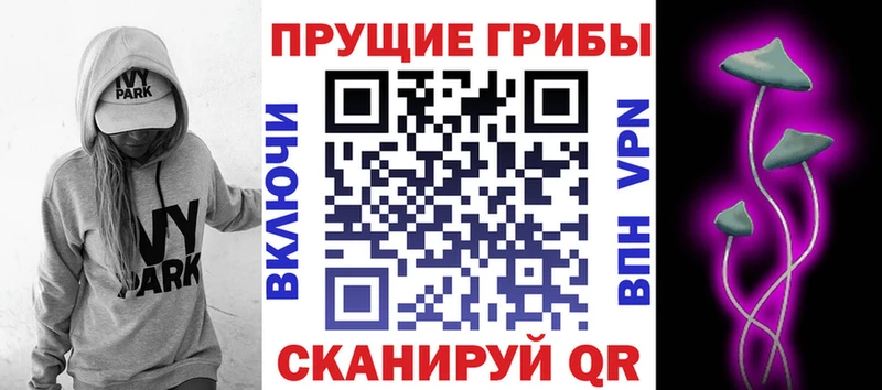 Галлюциногенные грибы Magic Shrooms  Зеленогорск 