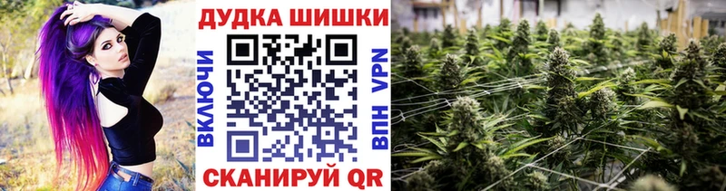 Каннабис планчик  дарнет шоп  Зеленогорск 